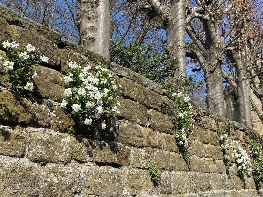 Garden Cottage - Ashover Village Near Matlock Chesterfield Kültér fotó